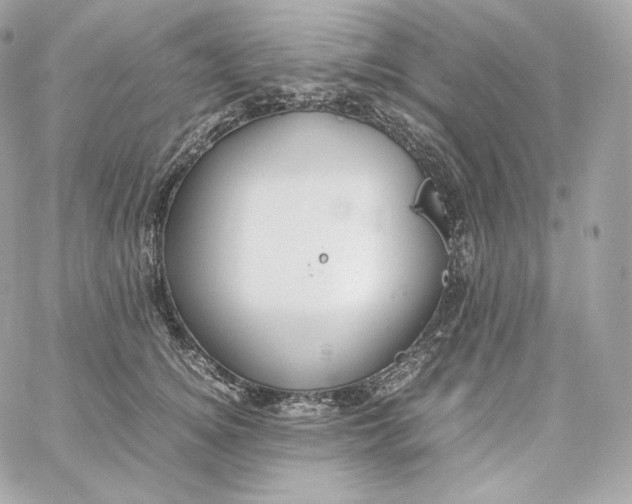 X0000060260756200511112021