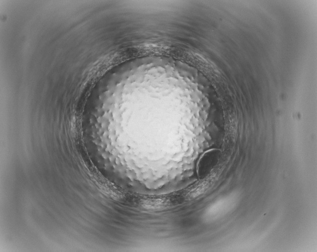 X0000060260757200511112021