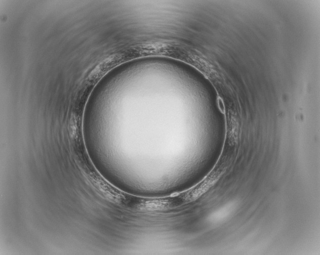 X0000060260758200511112021