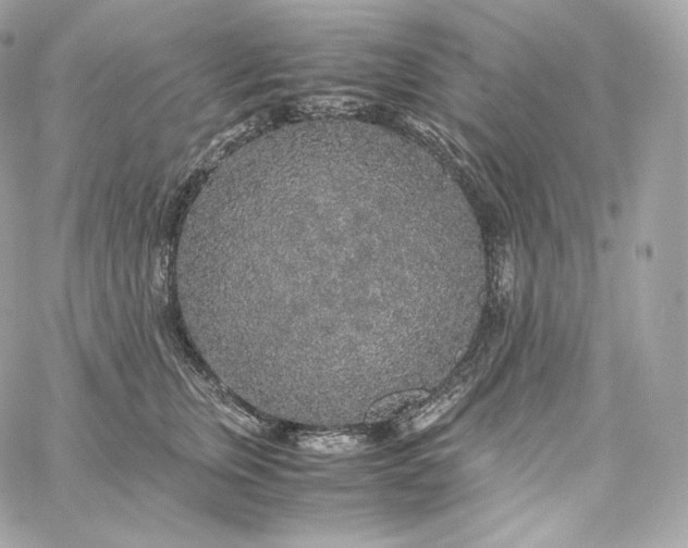 X0000060260759200511112021