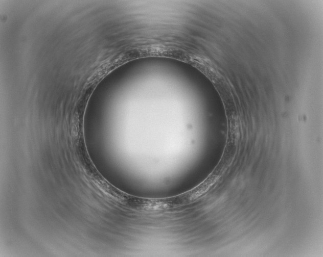 X0000060260760200511112021