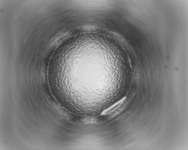 X0000060260762200511112021