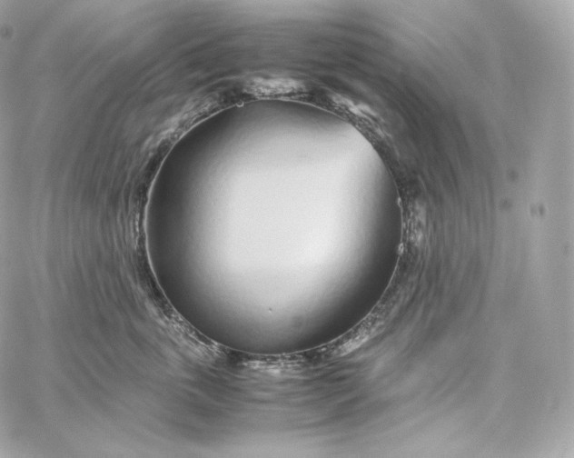 X0000060260763200511112021