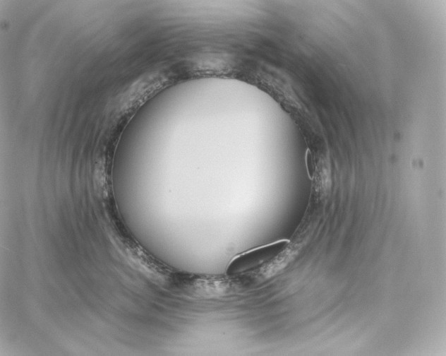 X0000060260764200511112021