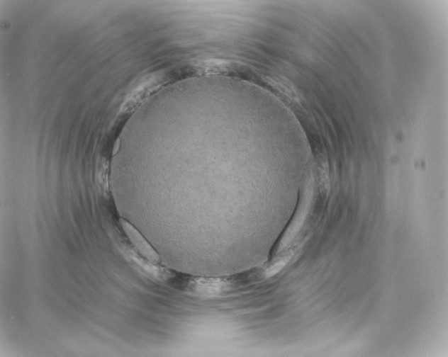 X0000060260766200511112021