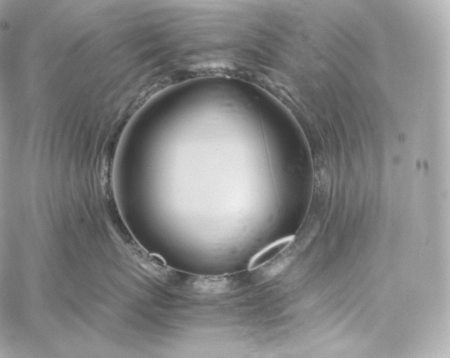 X0000060260767200511112021