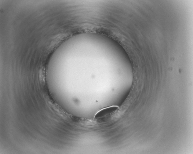 X0000060260768200511112021