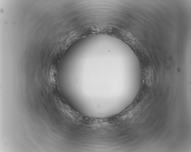 X0000060260770200511112020