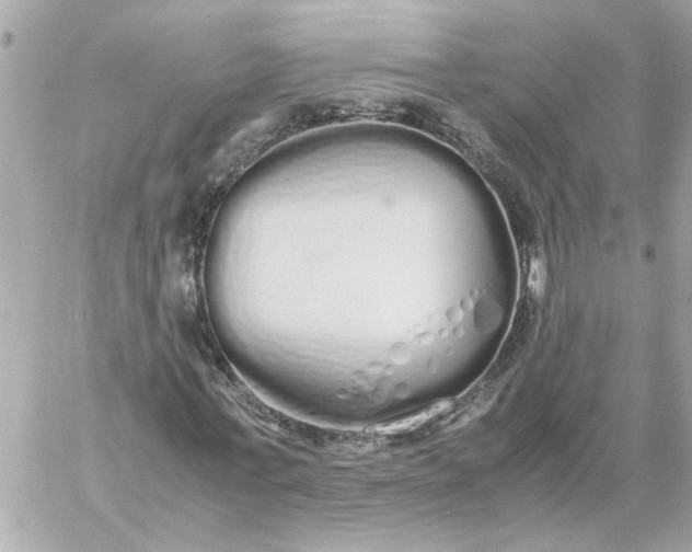 X0000060260771200511112020