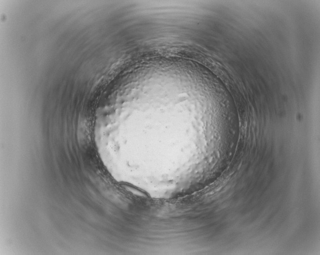 X0000060260772200511112020