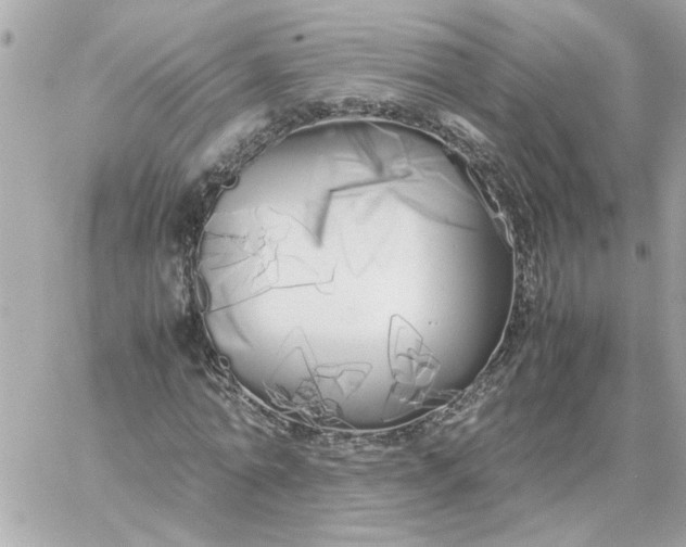 X0000060260774200511112020