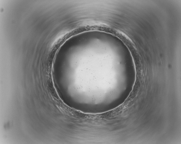 X0000060260775200511112020