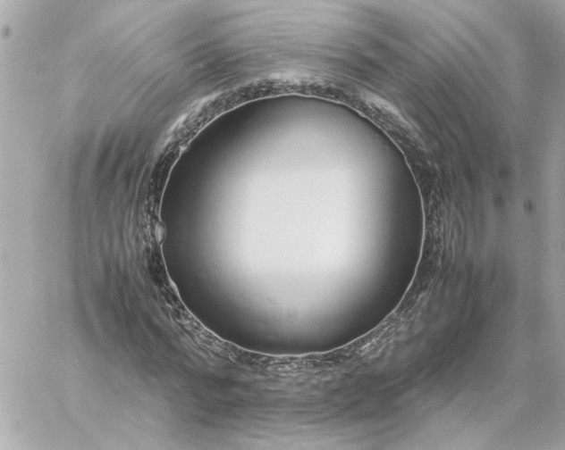 X0000060260776200511112020