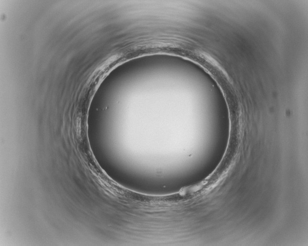 X0000060260777200511112020