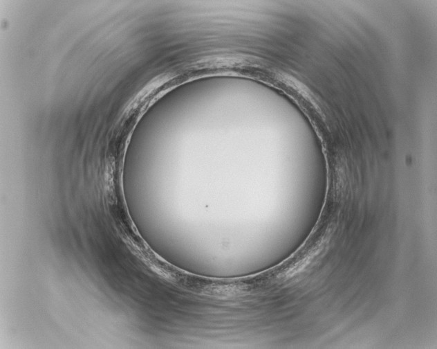 X0000060260778200511112020