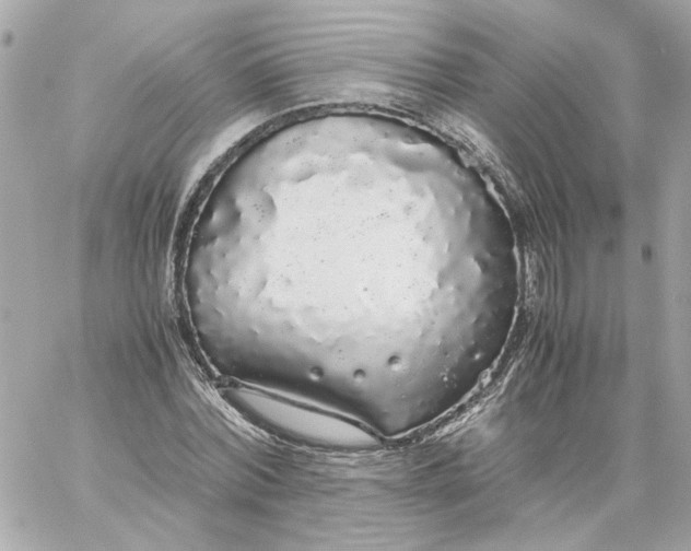 X0000060260780200511112020