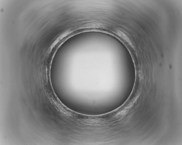 X0000060260781200511112020