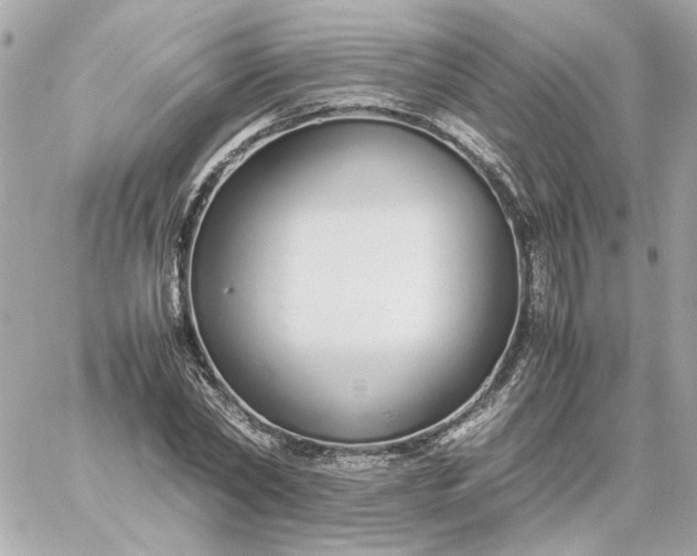 X0000060260782200511112020