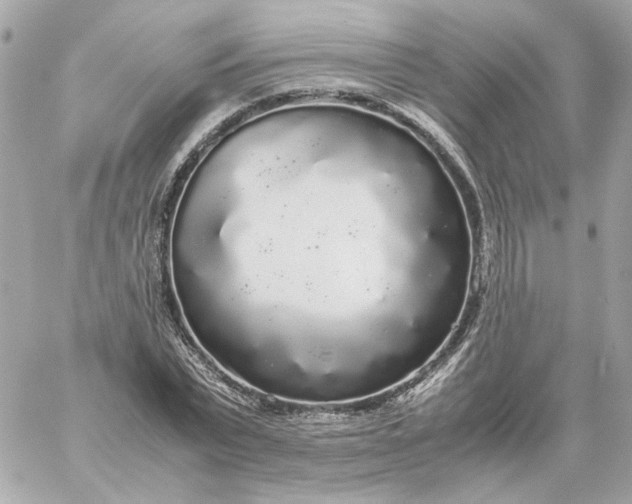 X0000060260783200511112020