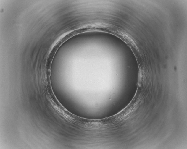 X0000060260784200511112020