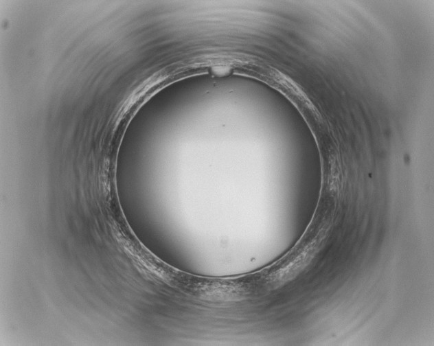 X0000060260786200511112020