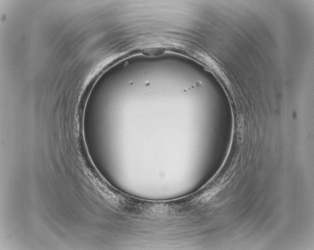 X0000060260787200511112020