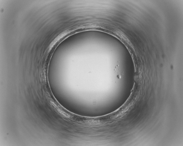 X0000060260789200511112020