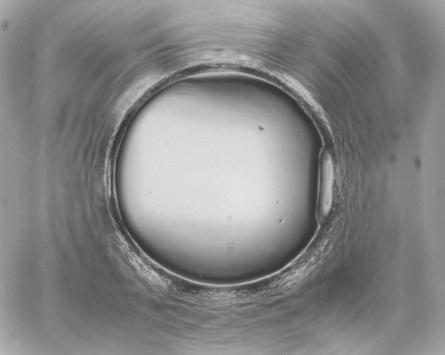 X0000060260791200511112020