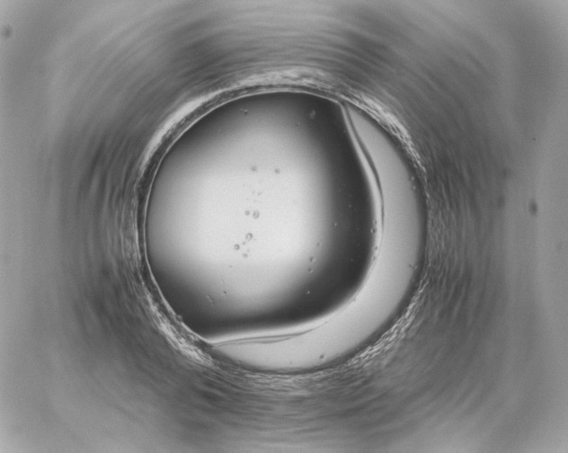 X0000060260792200511112020