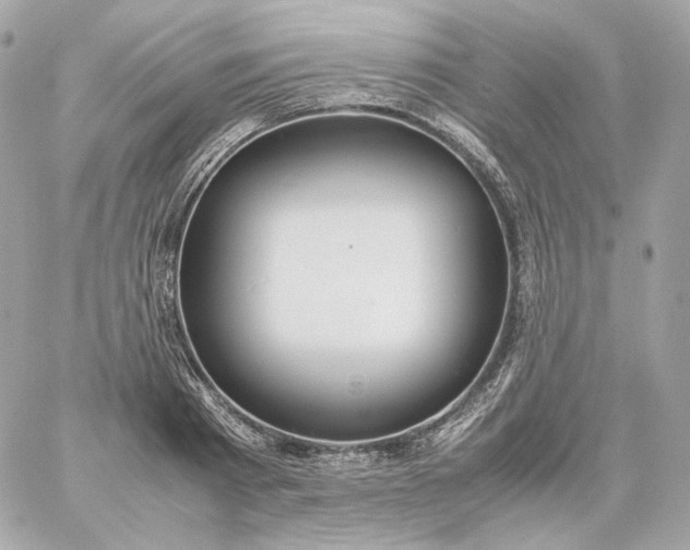 X0000060260793200511112020