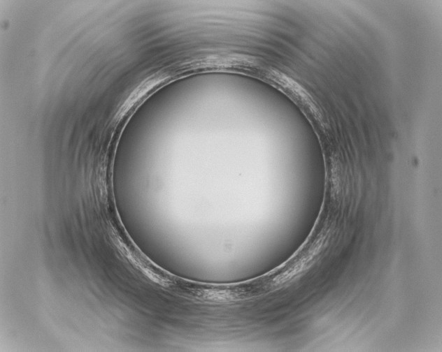 X0000060260794200511112020