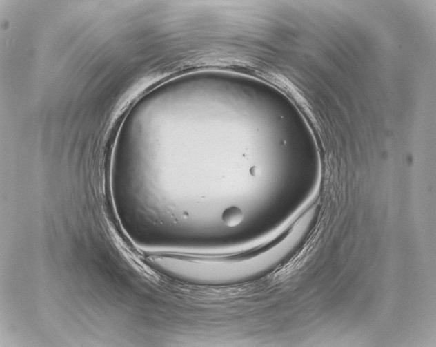 X0000060260795200511112020