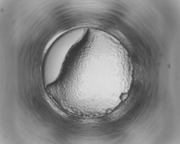 X0000060260796200511112020