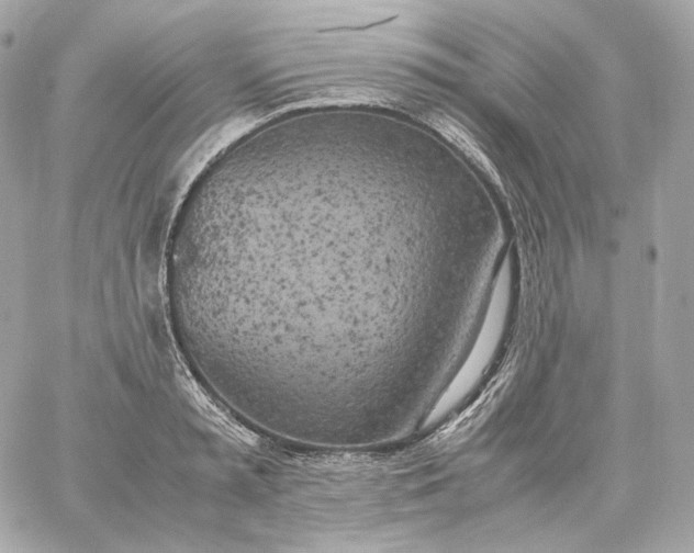 X0000060260797200511112020