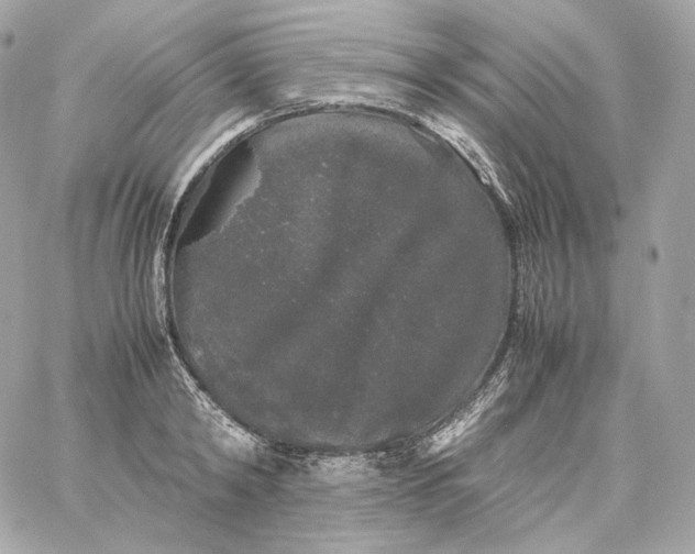 X0000060260798200511112020