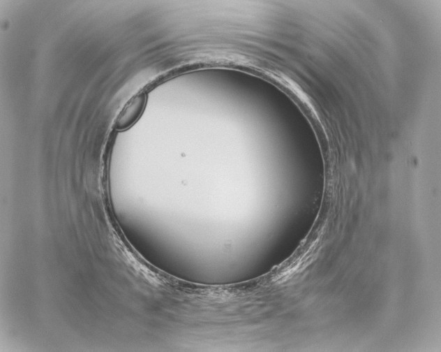 X0000060260799200511112020