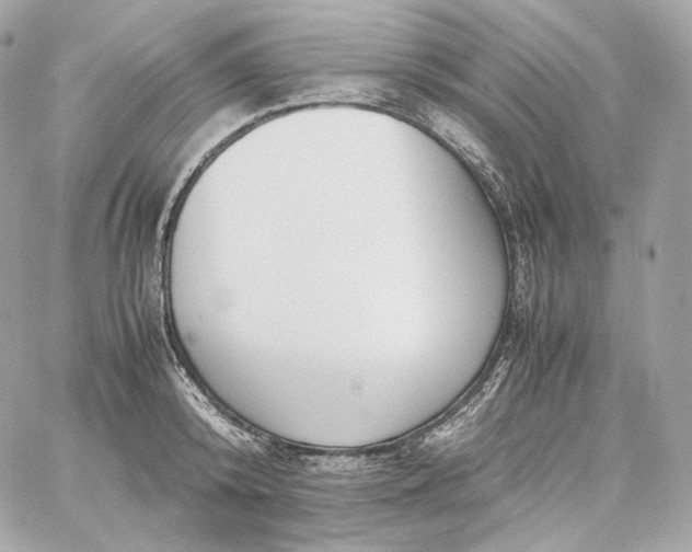 X0000060260800200511112020