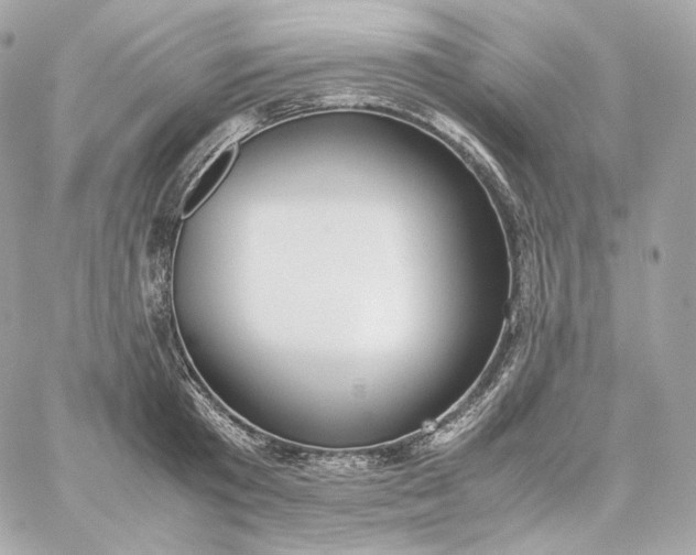 X0000060260801200511112020