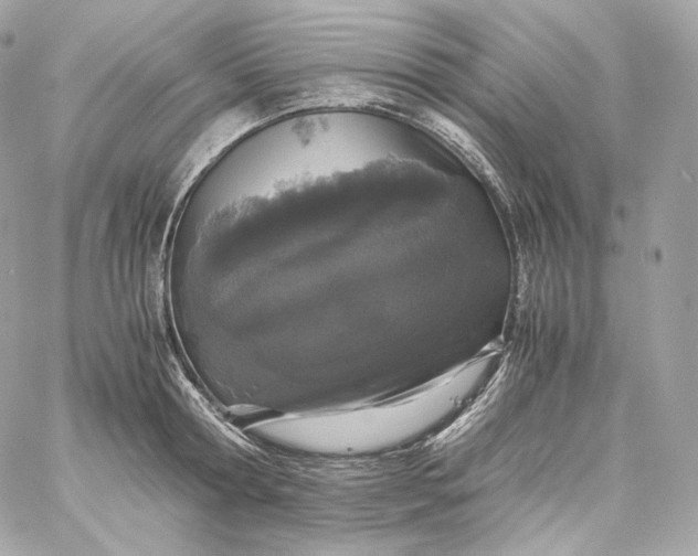 X0000060260802200511112020