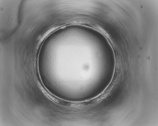 X0000060260803200511112020