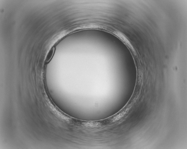 X0000060260805200511112020