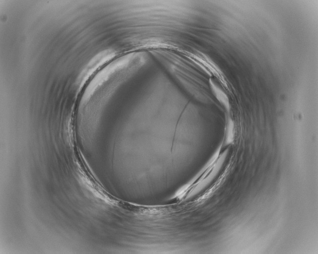 X0000060260806200511112020