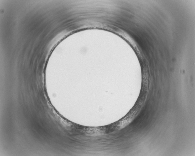 X0000060260807200511112020