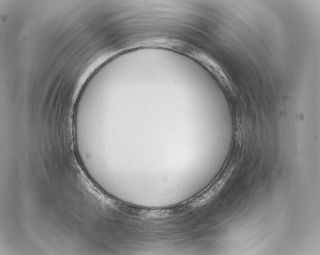 X0000060260808200511112019