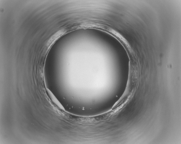 X0000060260809200511112019