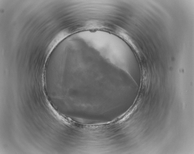 X0000060260810200511112019