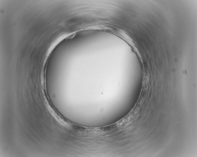 X0000060260811200511112019