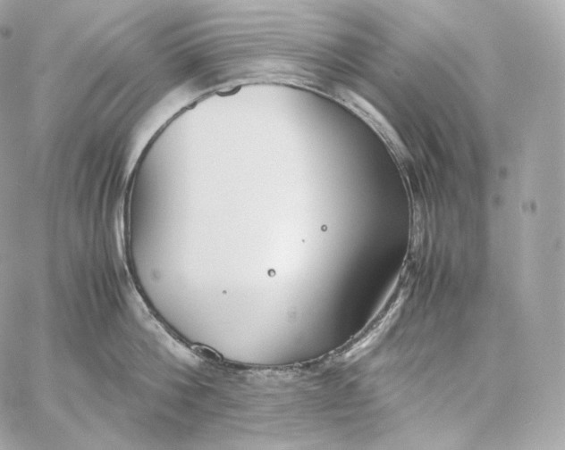 X0000060260812200511112019