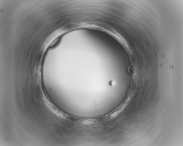 X0000060260814200511112019