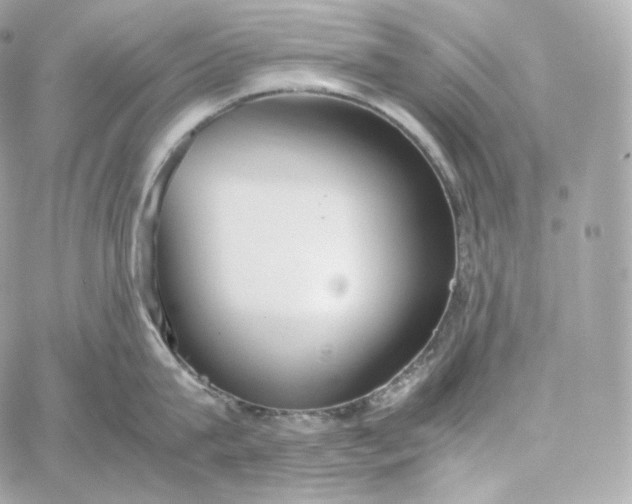 X0000060260815200511112019